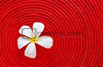  Flower on roll red rope