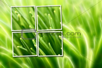 abstract composition with grass over green and yellow background
