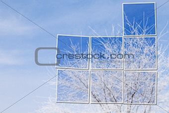 White tree in snow over blue sky