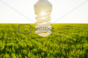 sunrays through energy saving lamp