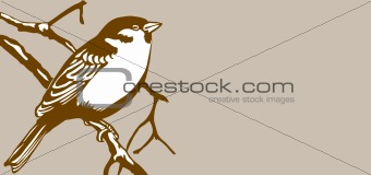 bird silhouette on brown background, vector illustration