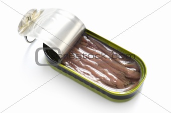tinned anchovy