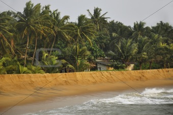 A hut surrounded by Palm trees at the Beach