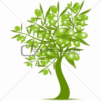  Green Olive Tree 