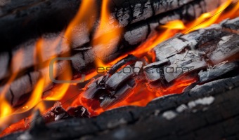 Fire close-up view