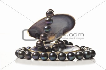 String of black pearls in a sea shel