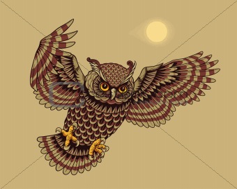 Flying Owl Bird