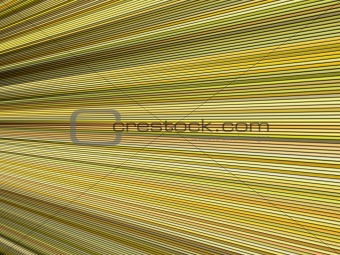 3d yellow color abstract striped backdrop render