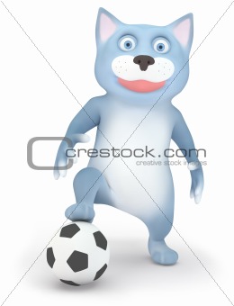 Cat and soccer ball