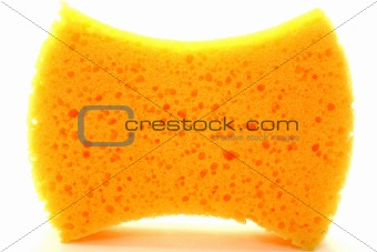 Beautiful yellow sponge