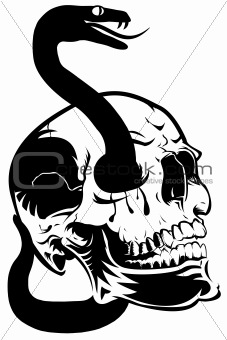 Skull with Snake Clip Art