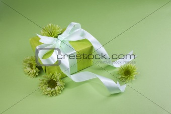 Gift box on green background 