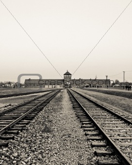 Rails to Auschwitz