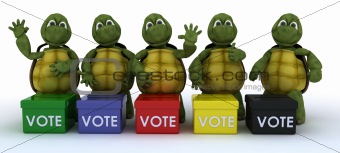 tortoises canvasing for votes in election