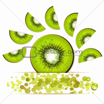 Slice of kiwi