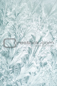 frozen window background
