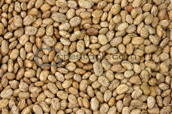 pinto beans background 