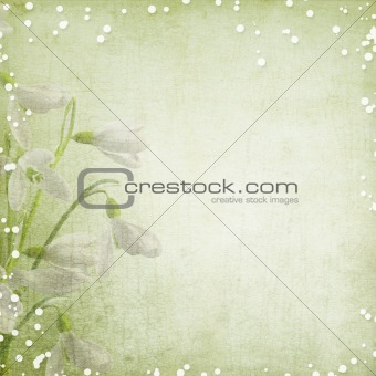 spring background with  snowdrops