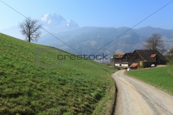 Swiss farmland