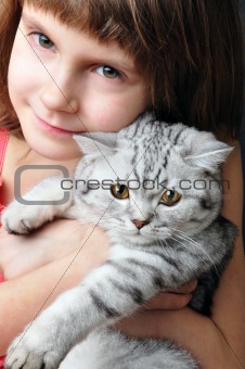 child hugging silver white cat kitten 
