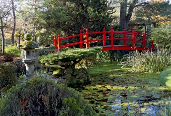 Bridge of Life in Kildandre Japanese Gardens