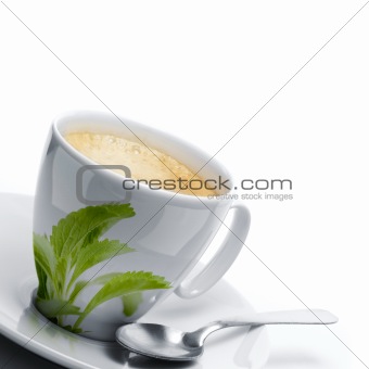 stevia rebaudiana leaves decor onto a cup
