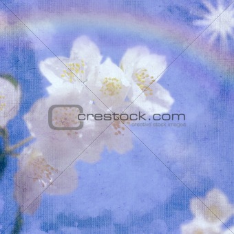 background with spring flowers of jasmine