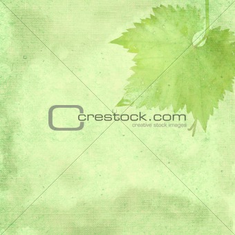 Green background for the photo book