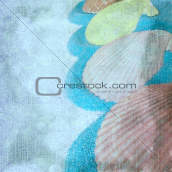 The square background with seashells