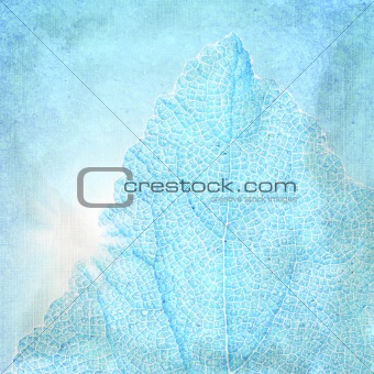 Blue background with a textured leaf 