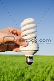 energy saving lamp in hand