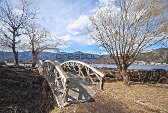 bridge and tree in the Japanese hdr