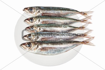 Raw mackerel on a plate. On a white background.