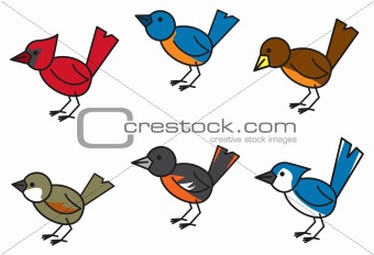 Popular Birds