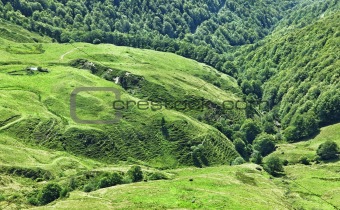 Volcanic plateau in Cantal