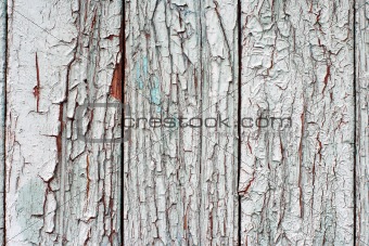 grungy wood with old paint