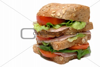 Unhealthy fast food sandwich