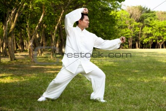 man and kung fu position