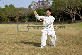 man in a kung fu position