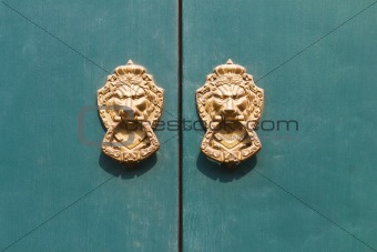 Door knocker lion head