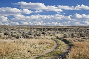 sagebrush high desert in Wyoming
