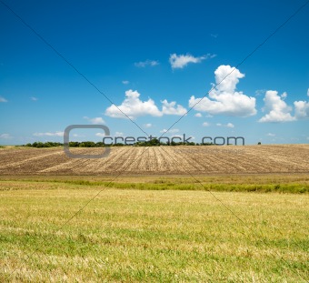 ploughed and green fields