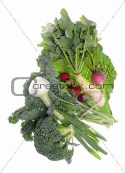 Fresh Farm Organic Vegetables