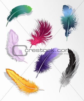 Multicolored feathers set