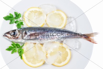 Mackerel in a dish with lemon and parsley. On a white background