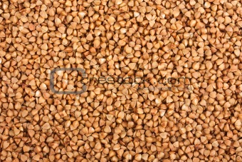 Background of the buckwheat