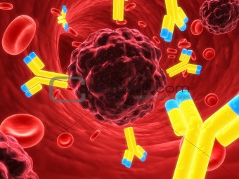 antibodies attacking a cancer cell