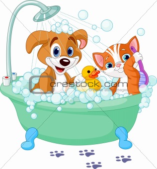 Dog and Cat  having a bath