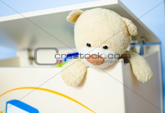 Teddy bear escaping from toy box.