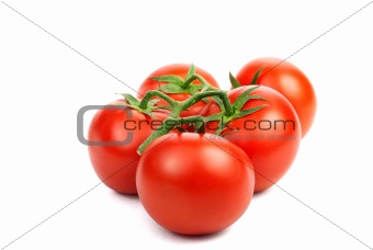 branch of red tomato